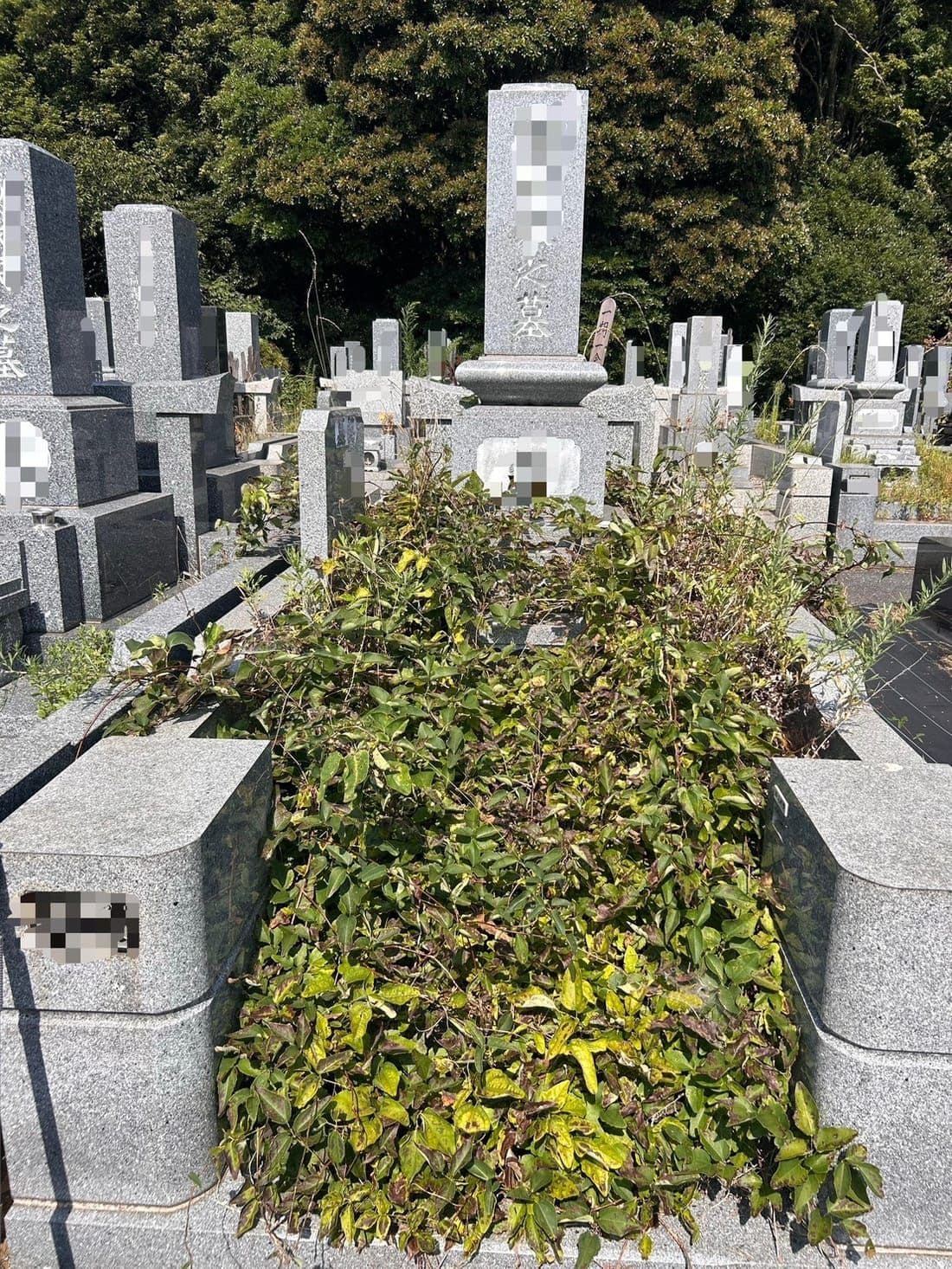 お墓掃除代行の清掃前